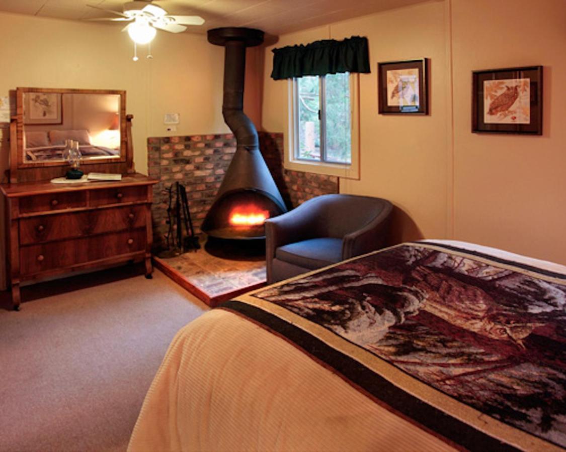 Silver Pines Lodge Idyllwild Exterior photo
