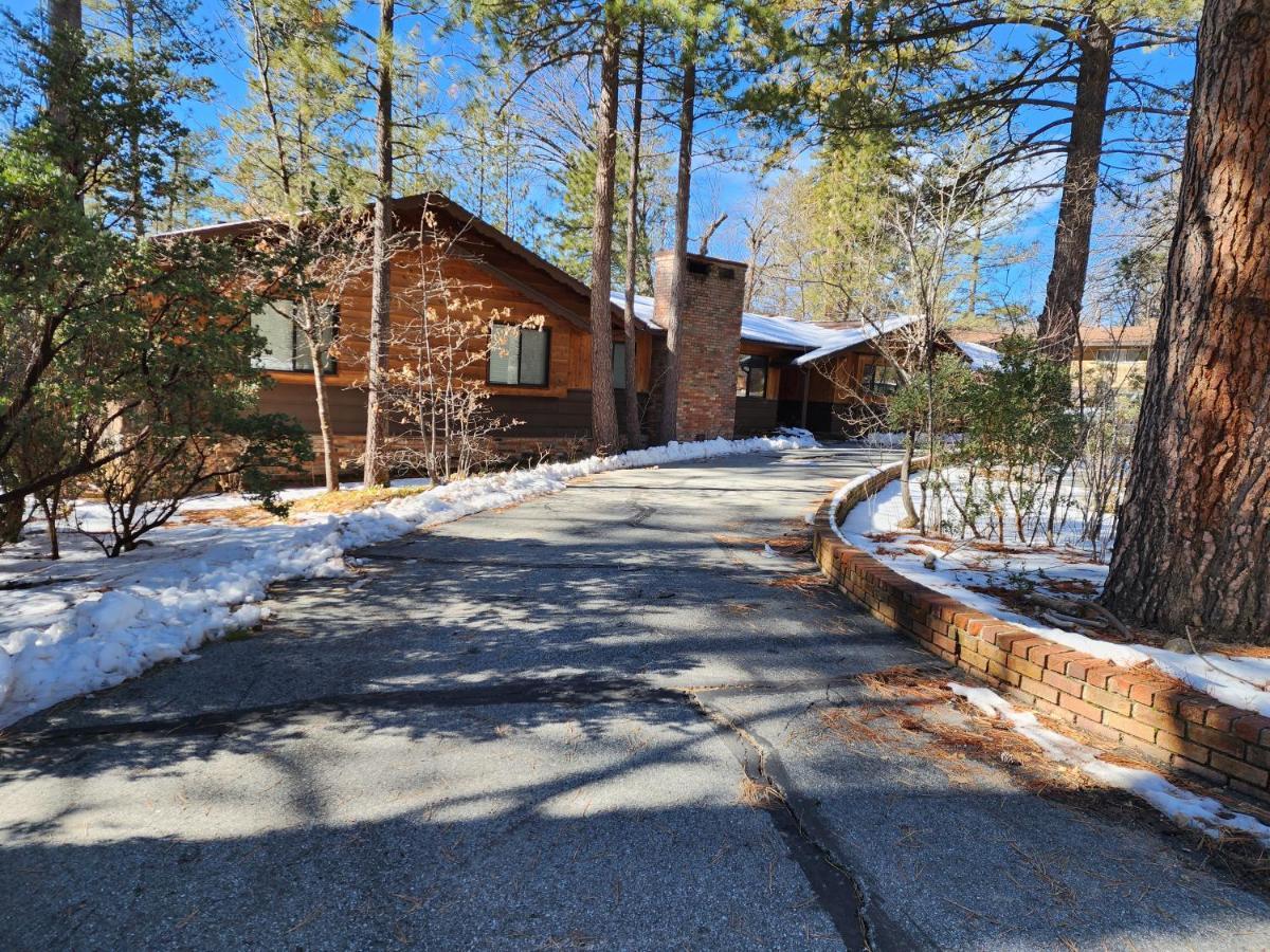 Silver Pines Lodge Idyllwild Exterior photo