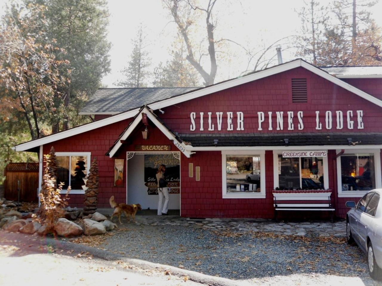 Silver Pines Lodge Idyllwild Exterior photo